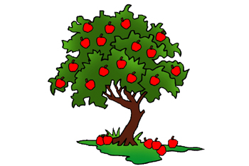 The best time for apples