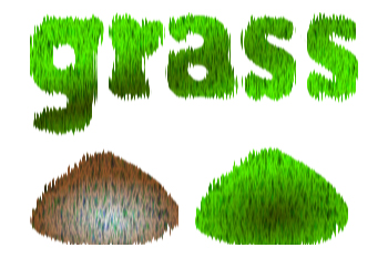 Grass