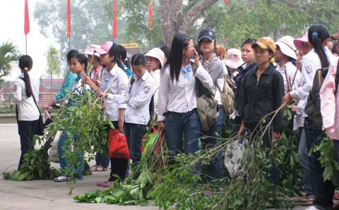 Chùm ảnh: Thi nghề hay 