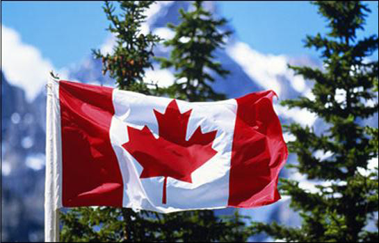 Talk show Canada: IELTS và thời điểm nào thích hợp nộp hồ sơ