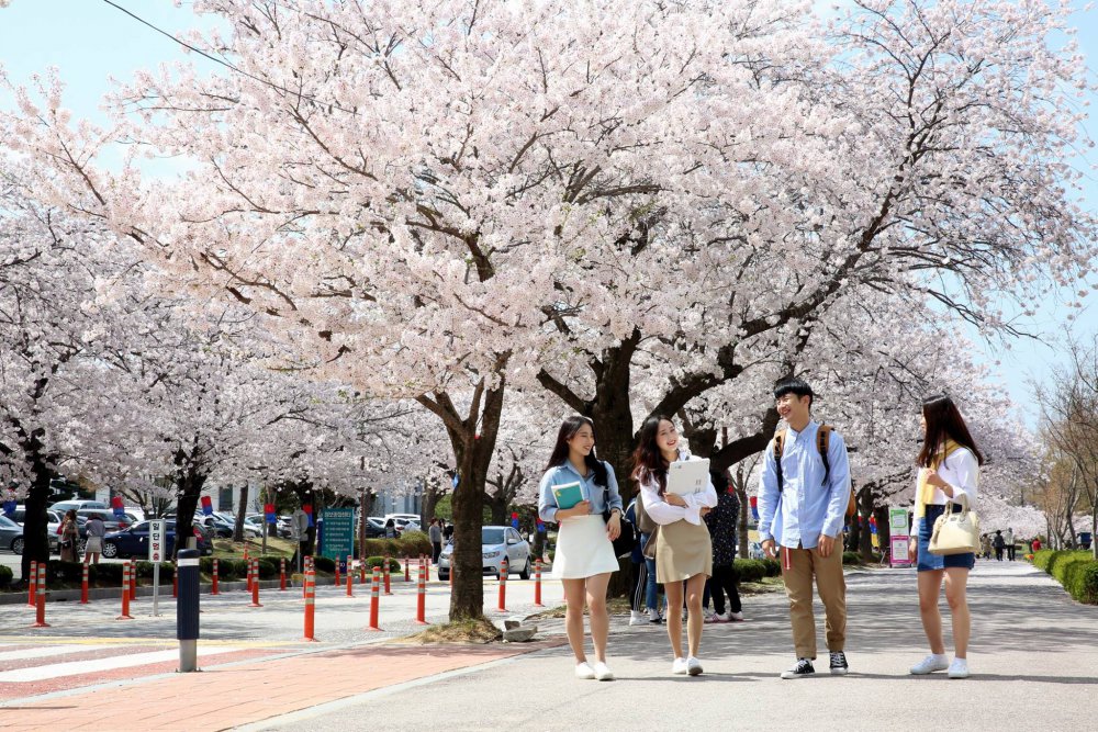 Cuộc sống và công việc cho sinh viên đại học Mokpo