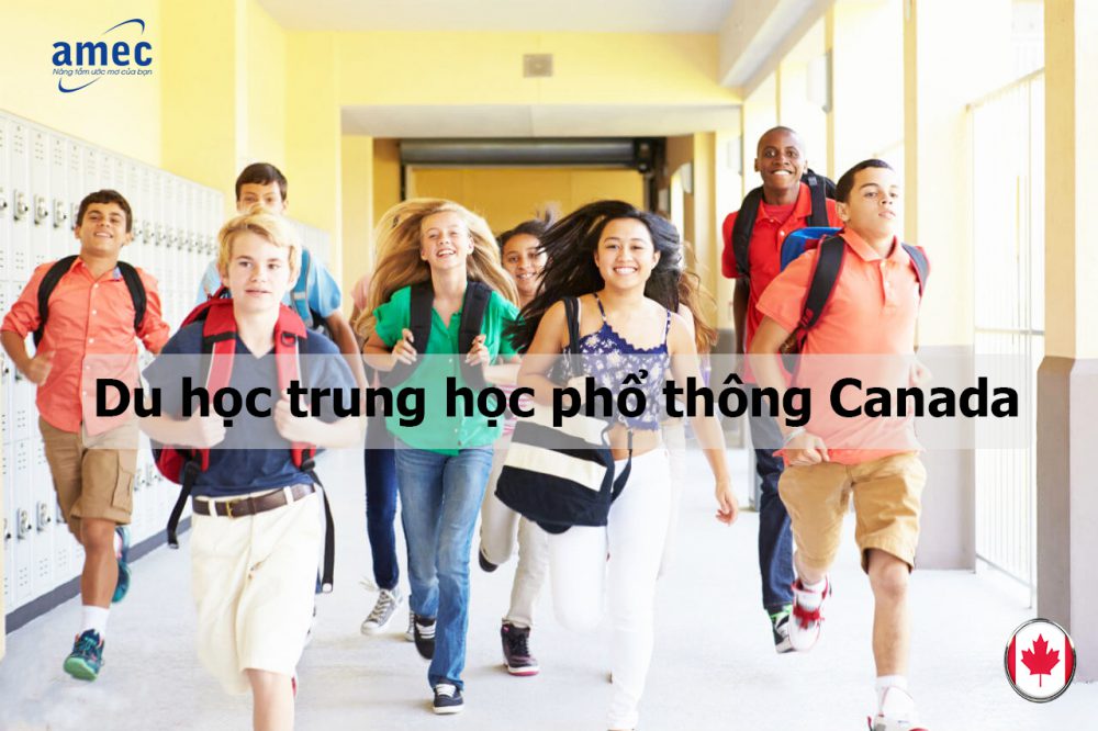 Lựa chọn hàng đầu du học bậc trung học tại Toronto – Trường Toronto International Academy (TIA)