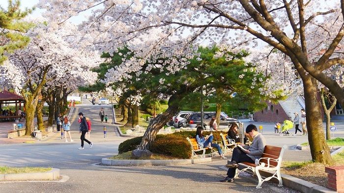 Tìm hiểu về ngành học thế mạnh tại trường đại học Daegu - Hàn Quốc