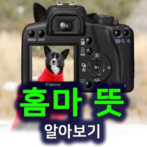 Ý nghĩa của từ 홈마 (homma) trong tiếng Hàn