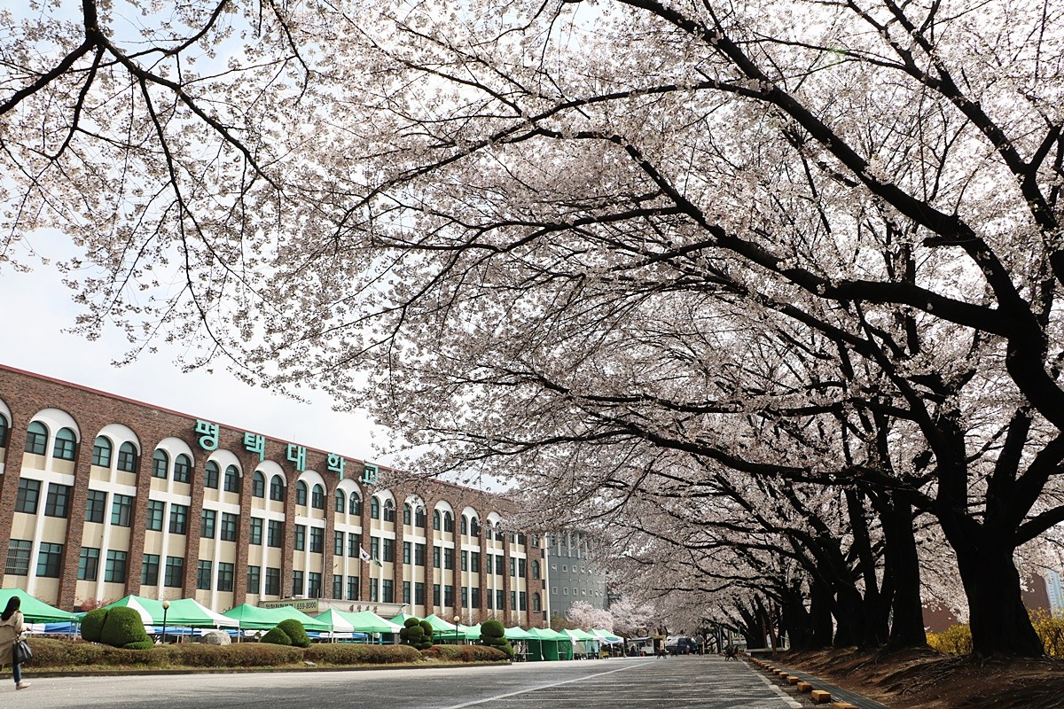 Pyeongtaek University