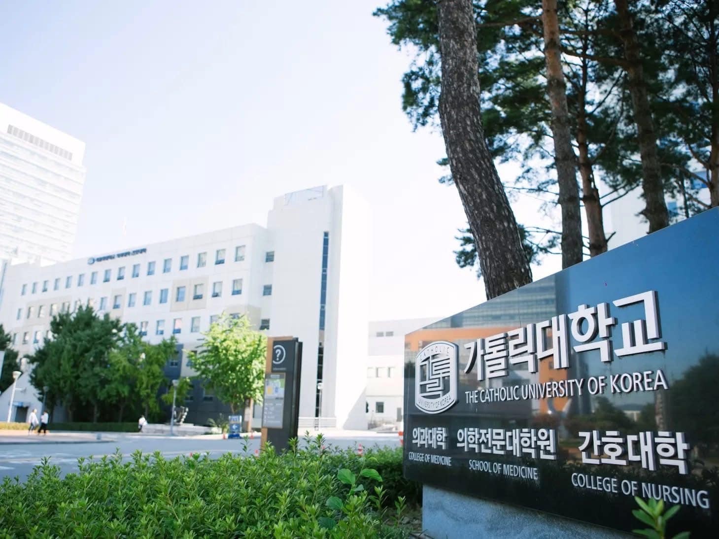 Catholic Korea University