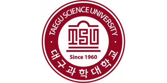 Daegu Science University