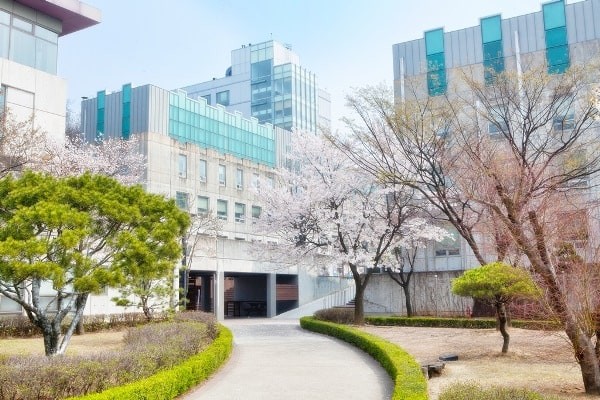 Sungkonghoe University