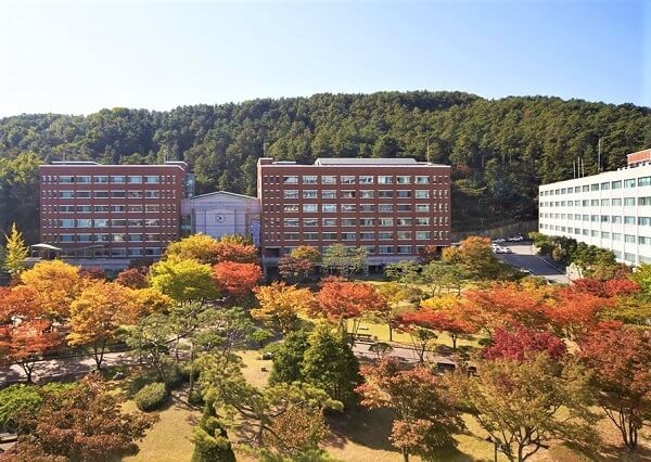 Yeonsung University