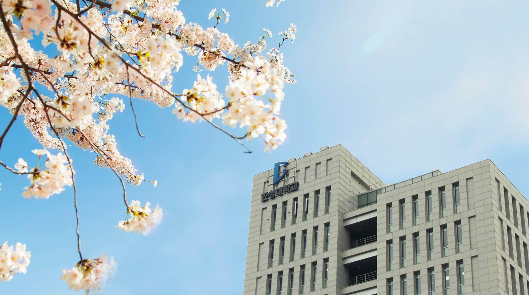 Hansung University